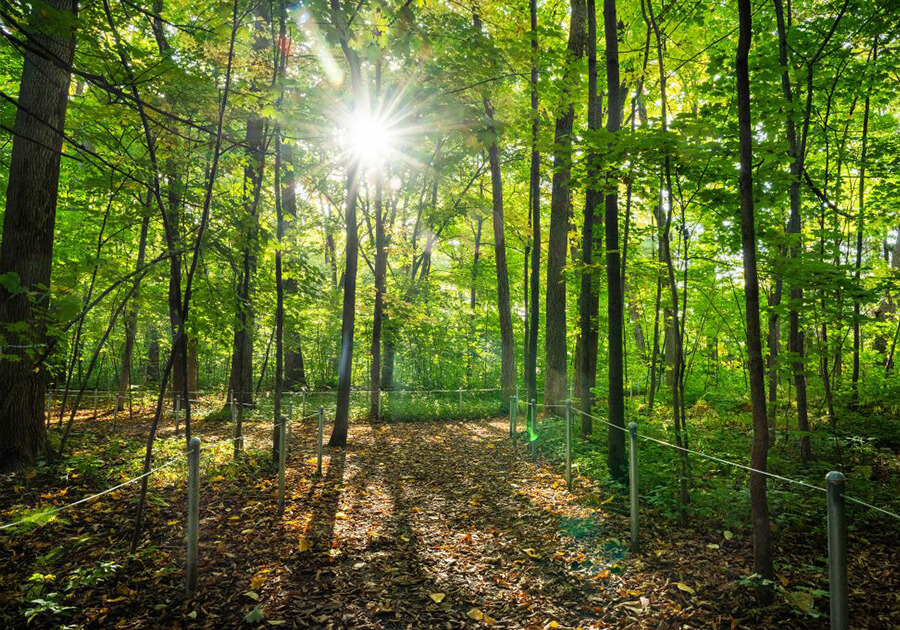 Parc du Bois-de-Coulonge et Domaine Cataraqui: les grands domaines de Sillery