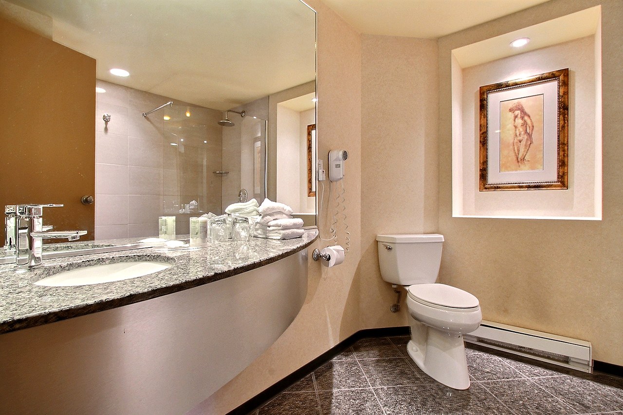 Chambre avec un très grand lit (king) avec bain tourbillon